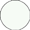 Wite